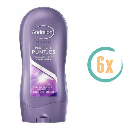 6x Andrelon Perfecte Puntjes Conditioner 300ml