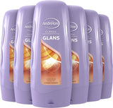 6x Andrelon Classic Glans Conditioner 300ml, VoordeligInslaan.nl